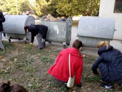 IMG_20181006_082819.jpg